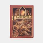 frankenstein-9788413935133