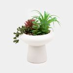 planta-artificial-18-2-cm-suculentas-con-maceta-blanca-7701016104647