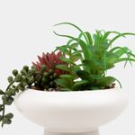 planta-artificial-18-2-cm-suculentas-con-maceta-blanca-2-7701016104647