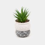 planta-artificial-17-5-cm-sabila-con-maceta-beige-negro-7701016446617