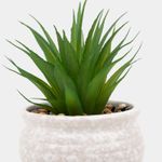 planta-artificial-17-5-cm-sabila-con-maceta-beige-negro-2-7701016446617