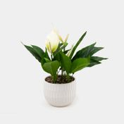 Planta artificial de 36 cm lirios con hojas verdes