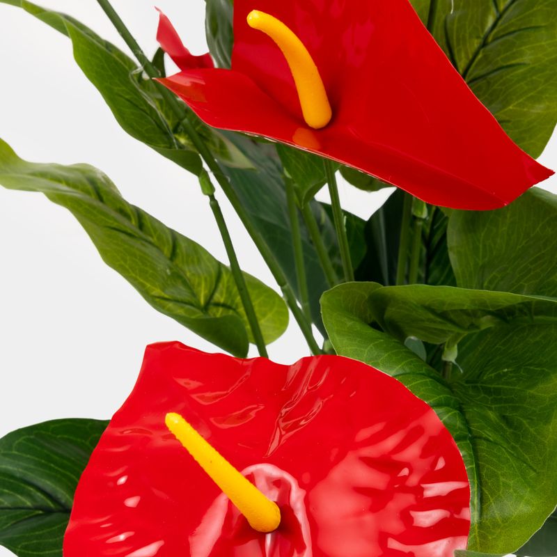 planta-artificial-49-8-cm-anturios-rojos-con-maceta-blanca-2-7701016834483