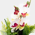 planta-artificial-37-5-cm-orquidea-blanca-y-helecho-con-maceta-2-7701016104524