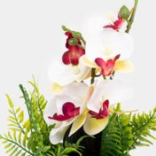 Planta artificial de 37.5 cm orquídea blanca con helecho