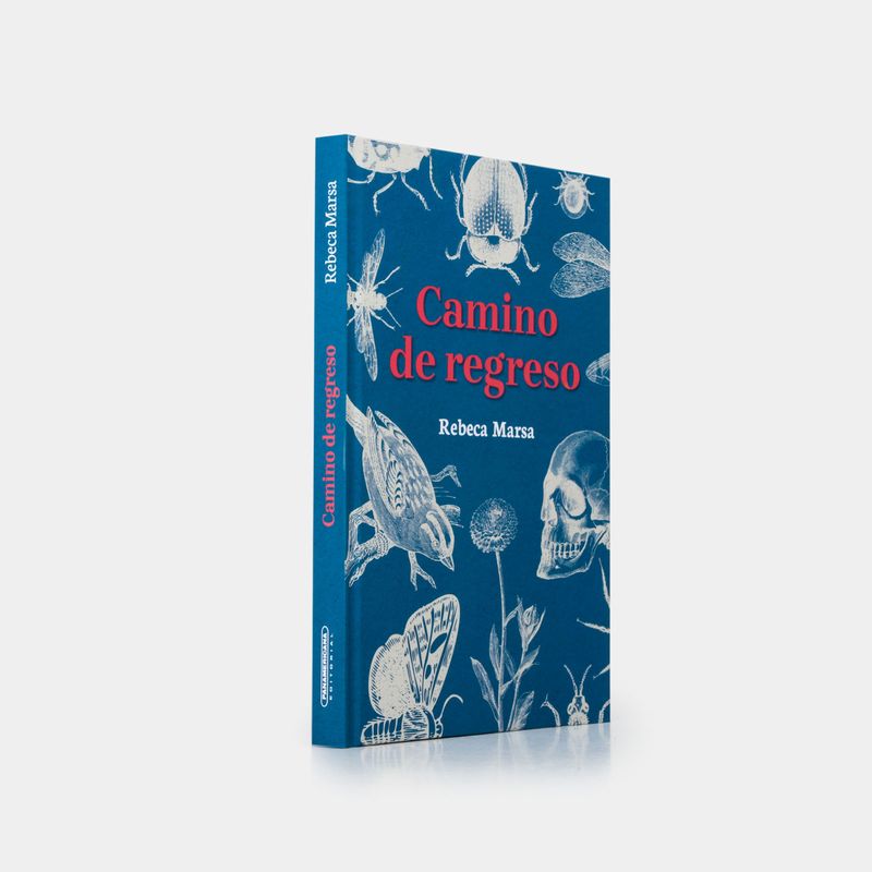 camino-de-regreso-2-9789583069680