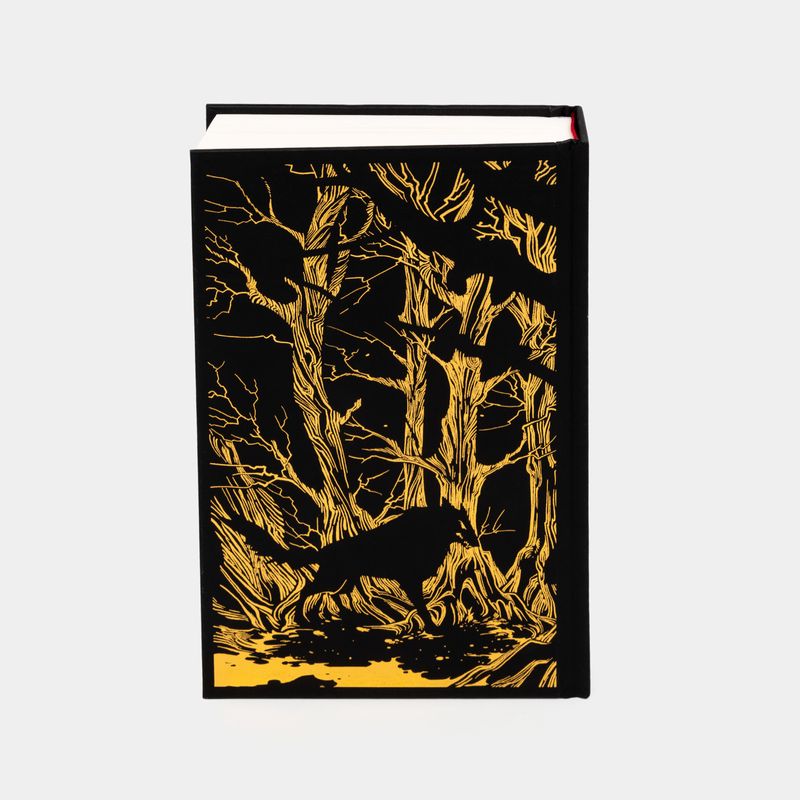 a-court-of-thorns-and-roses-colector-s-edition--7-9781547604173