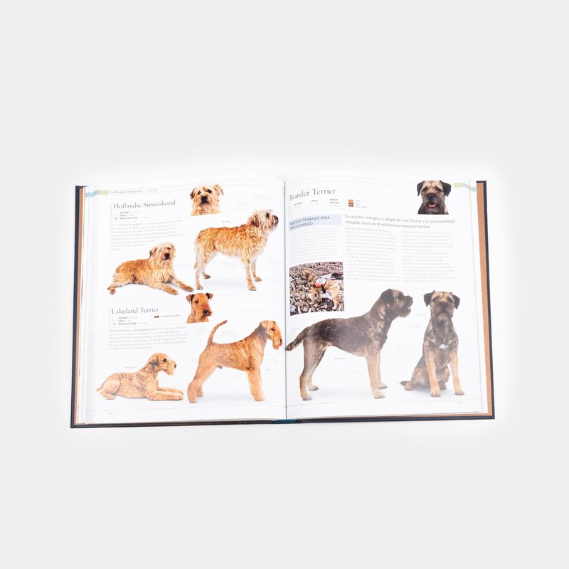 el-perro-la-enciclopedia-la-guia-visual-definitiva-4-9788419282811