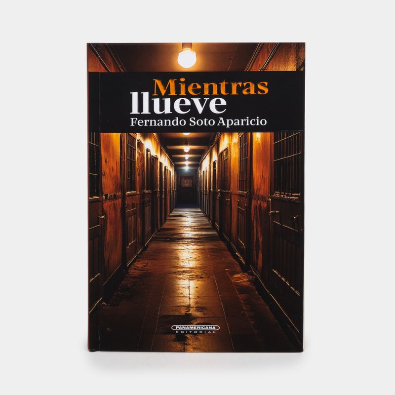 mientras-llueve-9789583069758