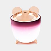 Humidificador de 350ml con luz, rosado