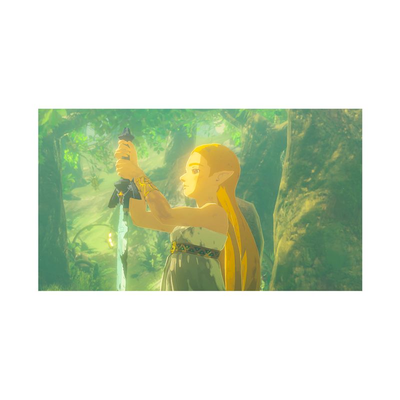 juego-the-legend-of-zelda-breath-of-the-wild-nintendo-switch-2-2-45496905774
