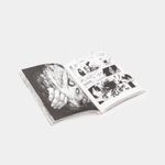 my-hero-academia-vol-2-4-9781421582702
