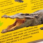 paleta-de-sonido-animalia-salvajes-5-9789915680484