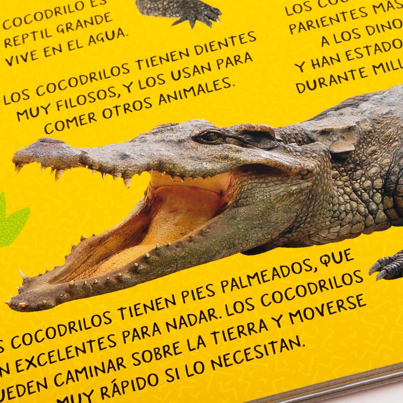 paleta-de-sonido-animalia-salvajes-5-9789915680484