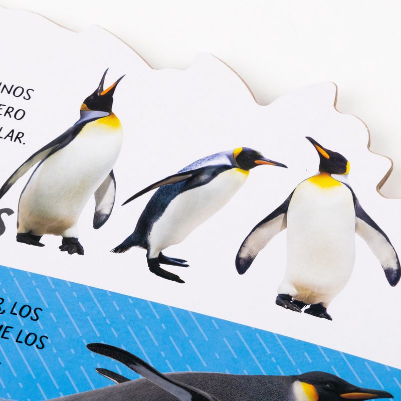 paleta-de-sonido-animalia-salvajes-6-9789915680484