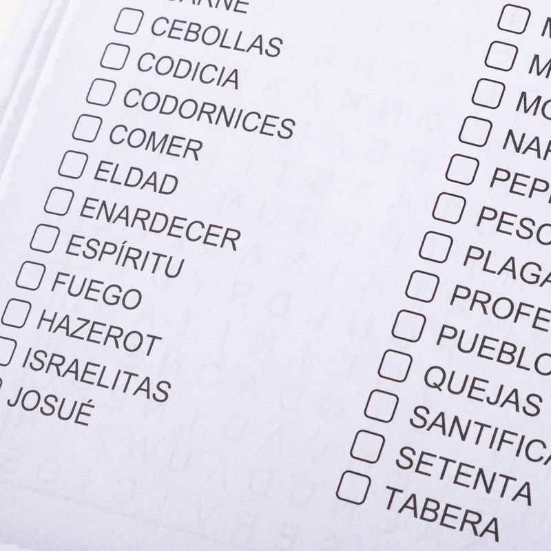 la-biblia-en-sopa-de-letras-vol-2-6-9789915680637
