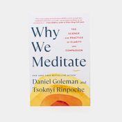 Why We Meditate