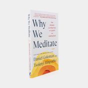 Why We Meditate