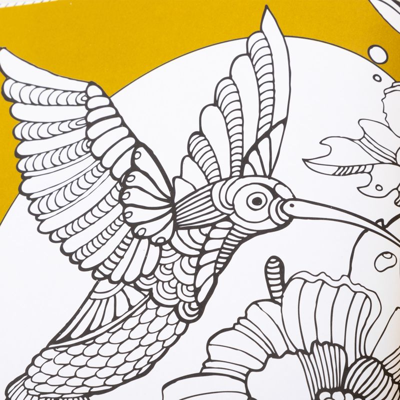 serie-resplandor-aves-5-9789915686196