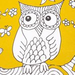 serie-resplandor-aves-6-9789915686196