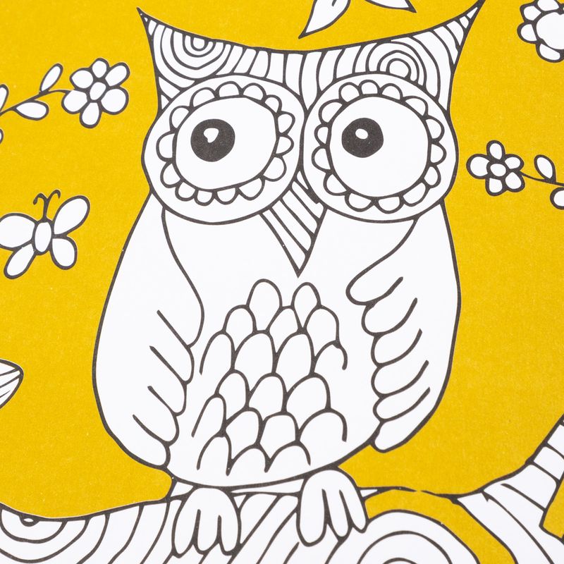 serie-resplandor-aves-6-9789915686196
