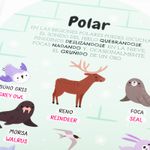 magipalabras-asi-suena-los-animales-6-9789915686486