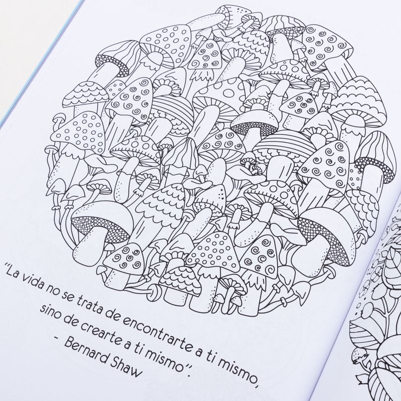mas-que-mandalas-libro-de-colorear-para-adultos-5-9789915677064