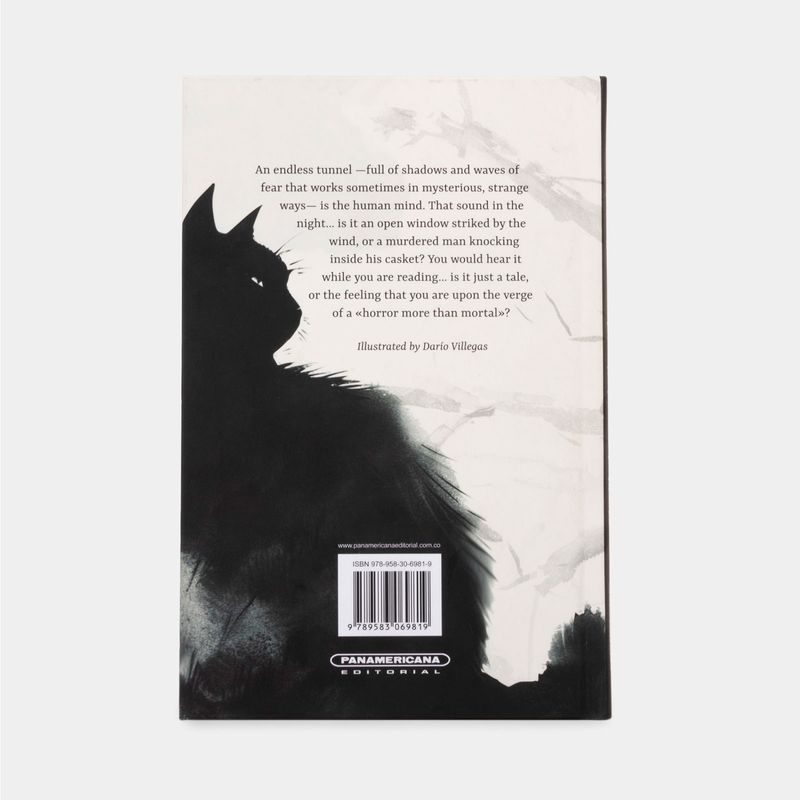 The-Black-Cat-And-Other-Tales-709560