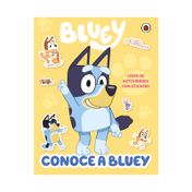Bluey - conoce a bluey