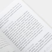 Barbiere fantasy cats